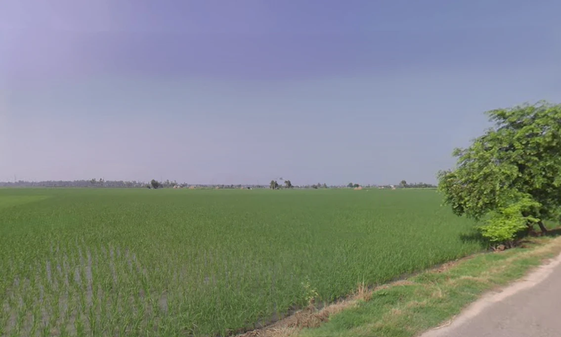 Cheeka, Haryana, India