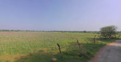 Khachariawas, Rajasthan 332710, India preview 2