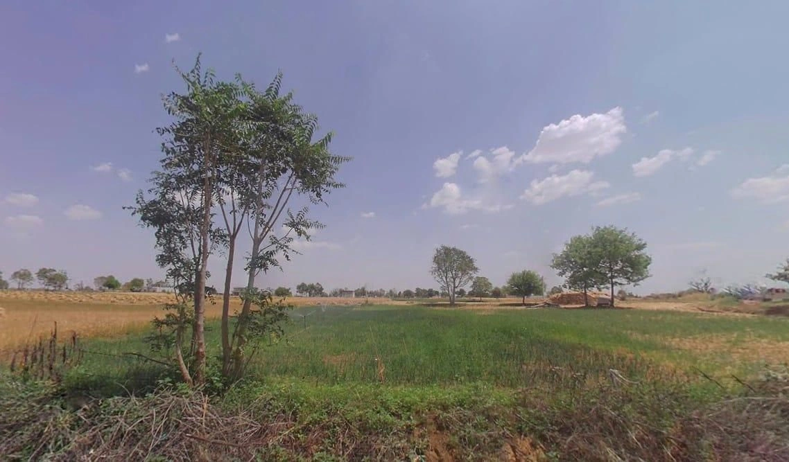 9CPV+8H6, Chomu Purohitan, Rajasthan 332602, India