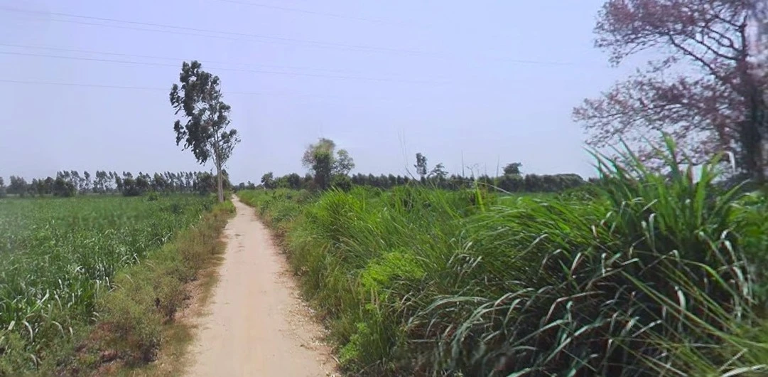 Bijnor, Uttar Pradesh 246701, India