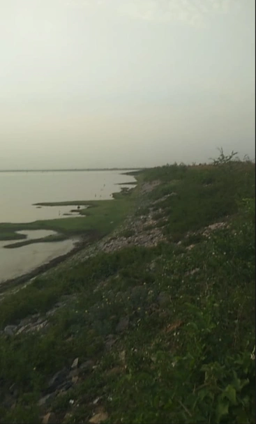 JXPM+4H Beejana, Rajasthan, India preview 3