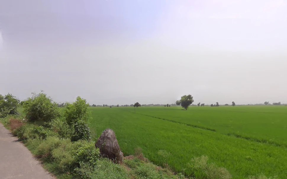 Rakshera, Haryana 132115, India