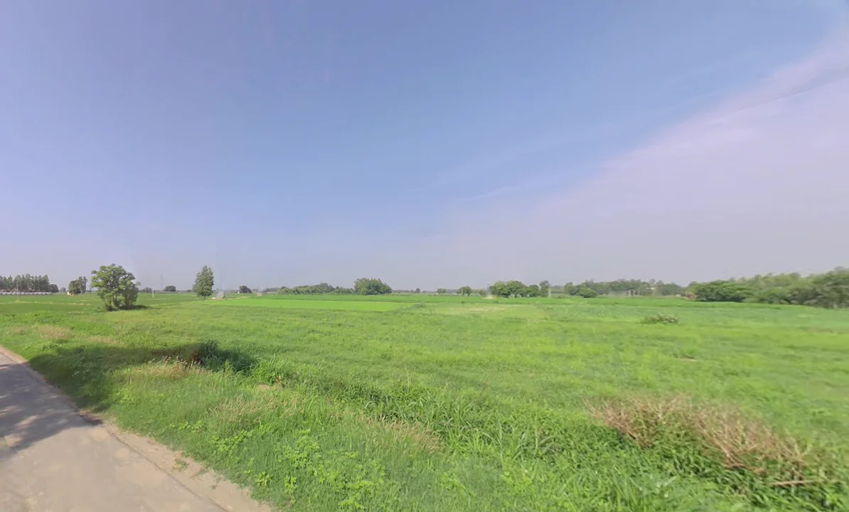 Dolanji, Ganyar, Himachal Pradesh, India preview 3