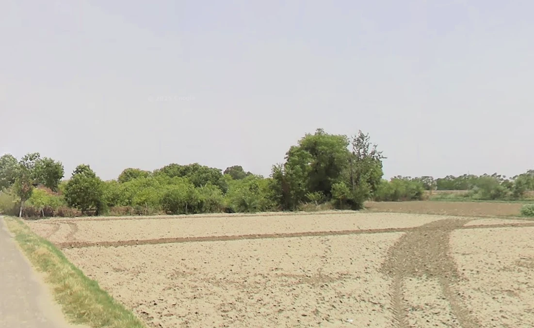 Sonipat, Haryana, India