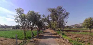 Bagru, Haryana, India preview 2