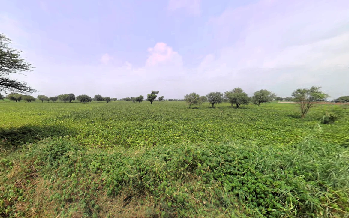 Lilas, Haryana 127046, India