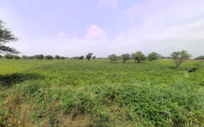 Lilas, Haryana 127046, India preview 2