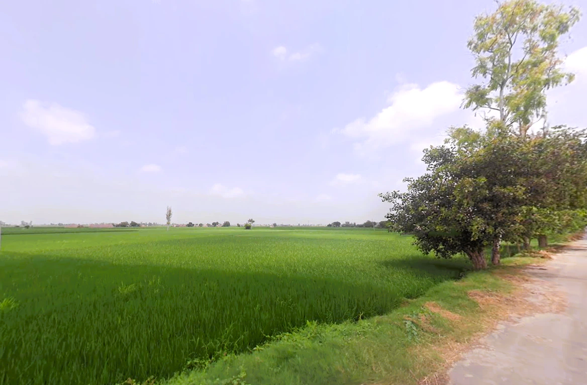 Pabnawa, Haryana 136020, India