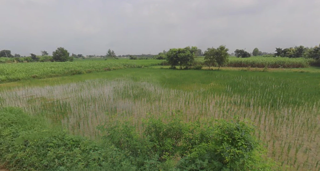 Kanth, Uttar Pradesh 244501, India