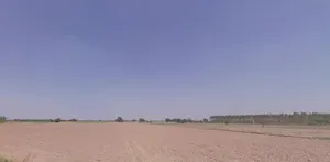 Ferozepur Rd, Sarabha Nagar, Ludhiana, Punjab, India preview 2