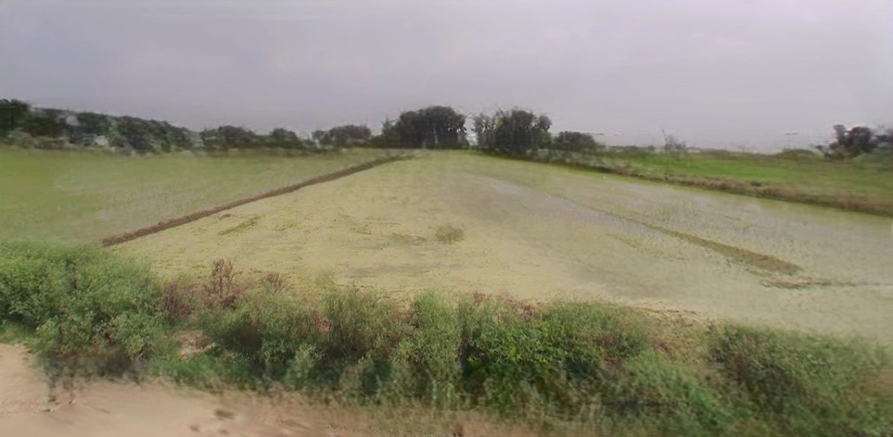 Jhajjar, Haryana 124103, India