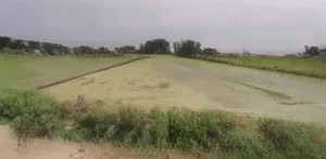 Jhajjar, Haryana 124103, India preview 3