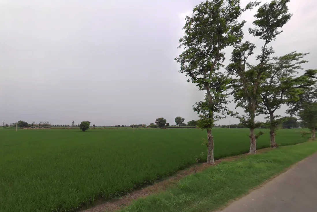 Chander Kalan, Haryana 125120, India preview 2