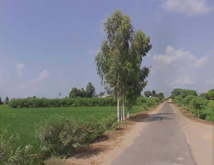 Buttar, Punjab 142040, India