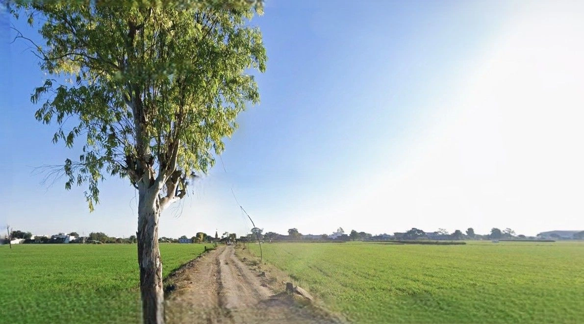 Sikhera Rd, Sikhera, Uttar Pradesh 250001, India