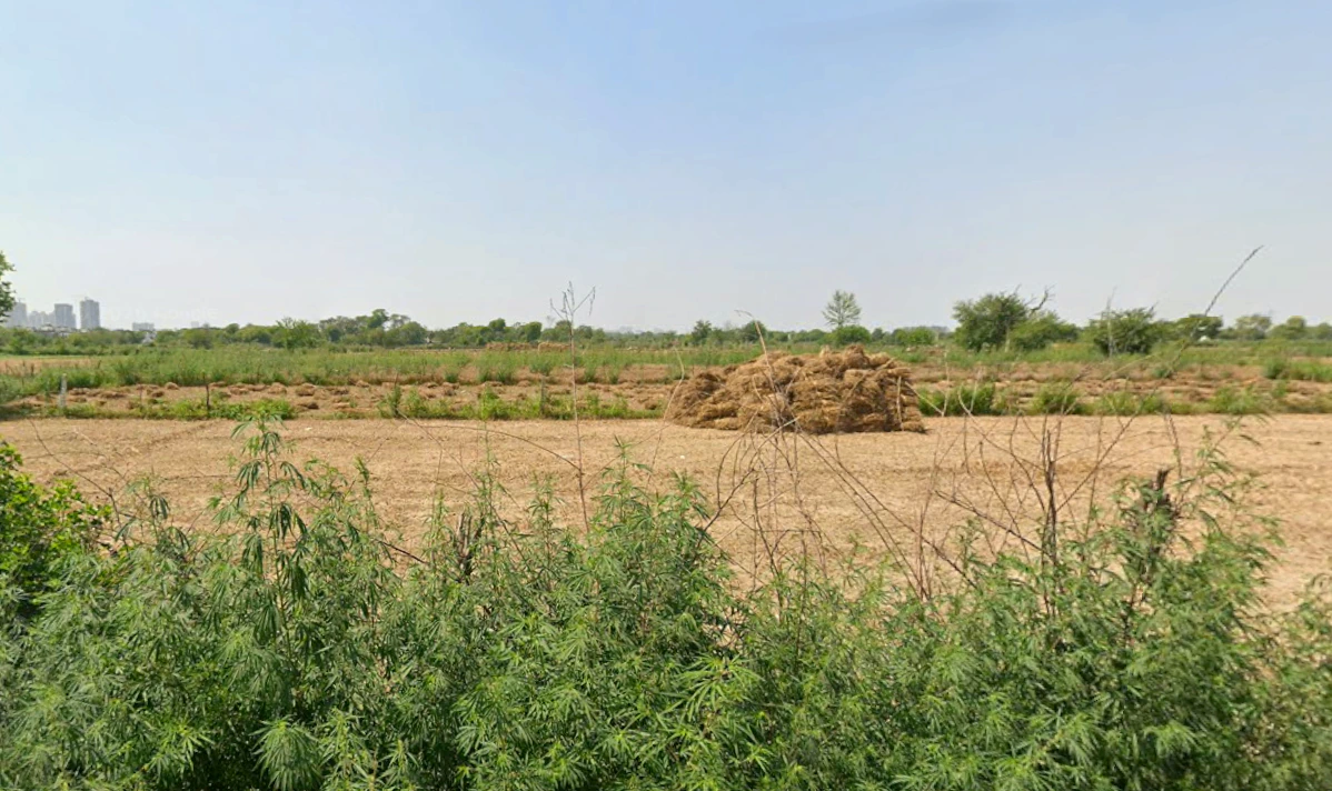 Sector 76, Noida, Uttar Pradesh 201316, India