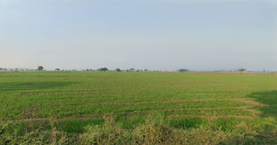 Puwarda Happa, Madhya Pradesh, India
