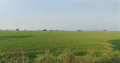 Puwarda Happa, Madhya Pradesh, India preview 3
