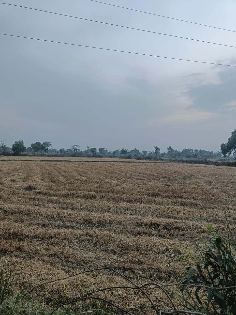 Ajijpur, Uttar Pradesh, India preview 3