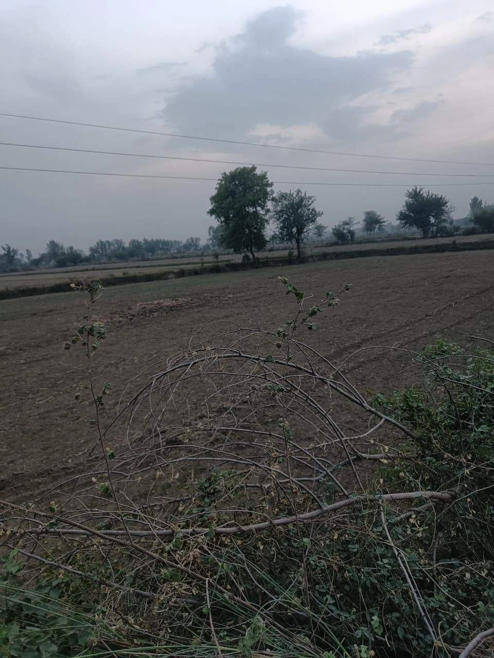 Ajijpur, Uttar Pradesh, India