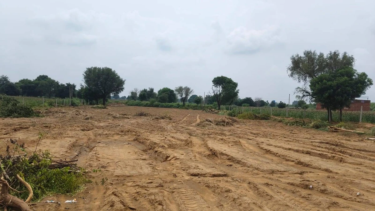 Seetal, Rajasthan 301021, India