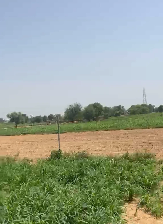 WM64+8V, Bhilwara, Gulabpura, Rajasthan 311021, India