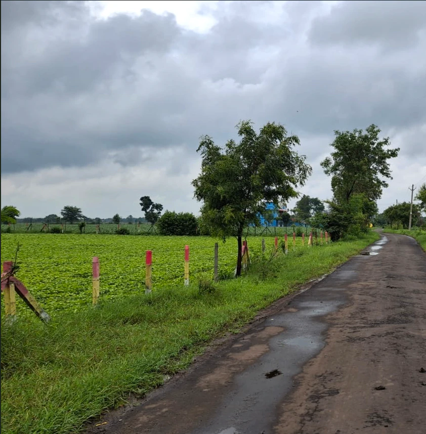 Shakkarkhedi, Mandsaur, Madhya Pradesh 458558, India