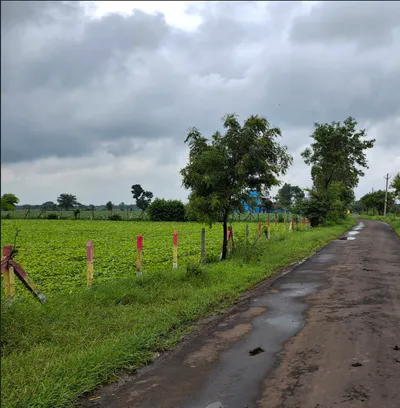 Shakkarkhedi, Mandsaur, Madhya Pradesh 458558, India preview 3