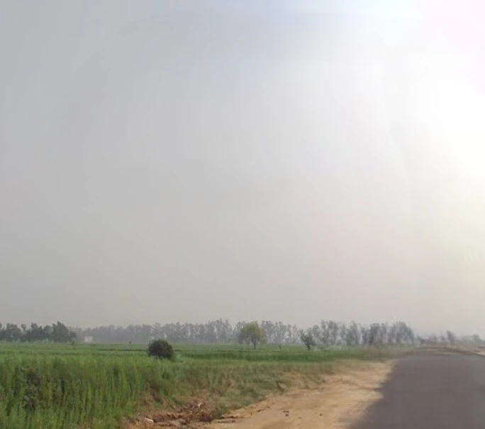 3VR5+JVQ, Mawana Khurd, Uttar Pradesh 250401, India