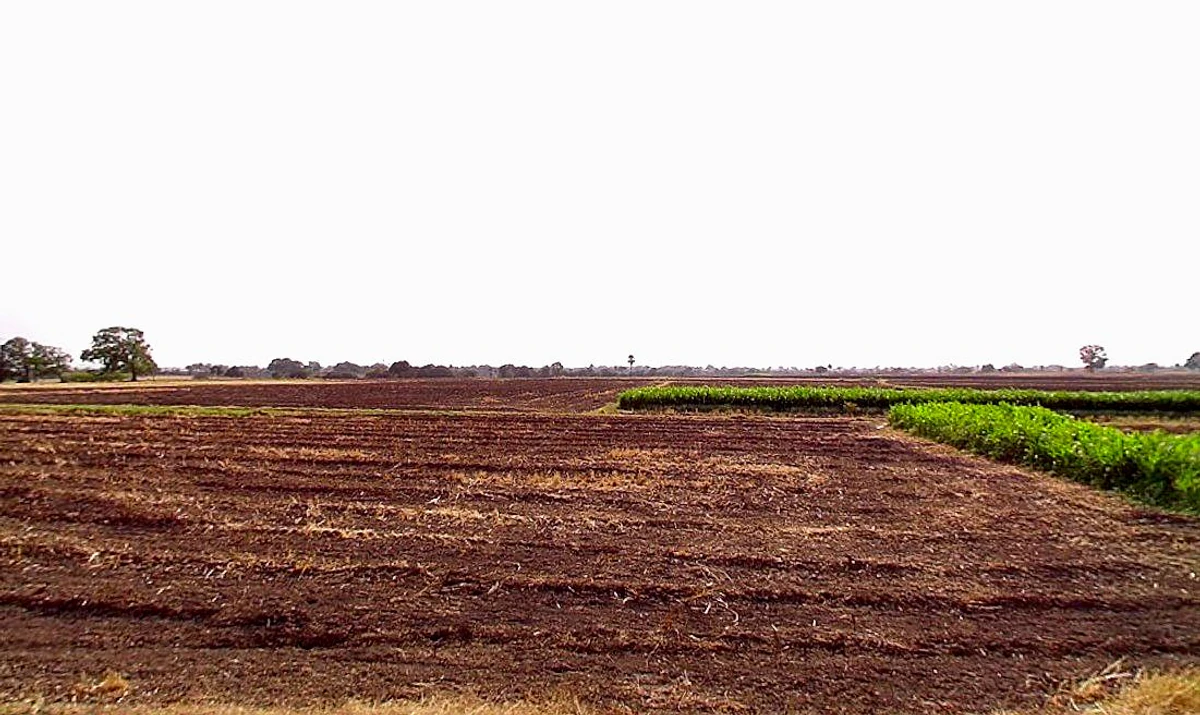 Barashiv, Maharashtra, India