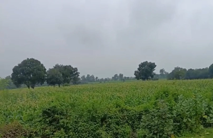 VR74+RJ Shankarpur, Rewa, Madhya Pradesh, India