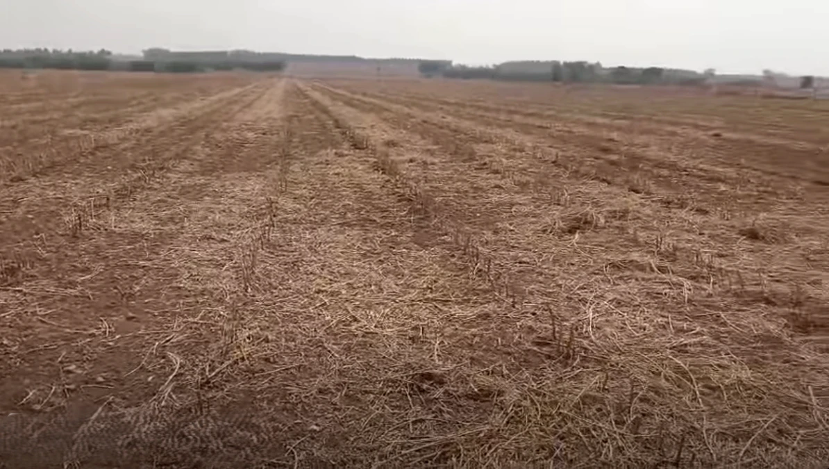 Penukonda, Andhra Pradesh, India