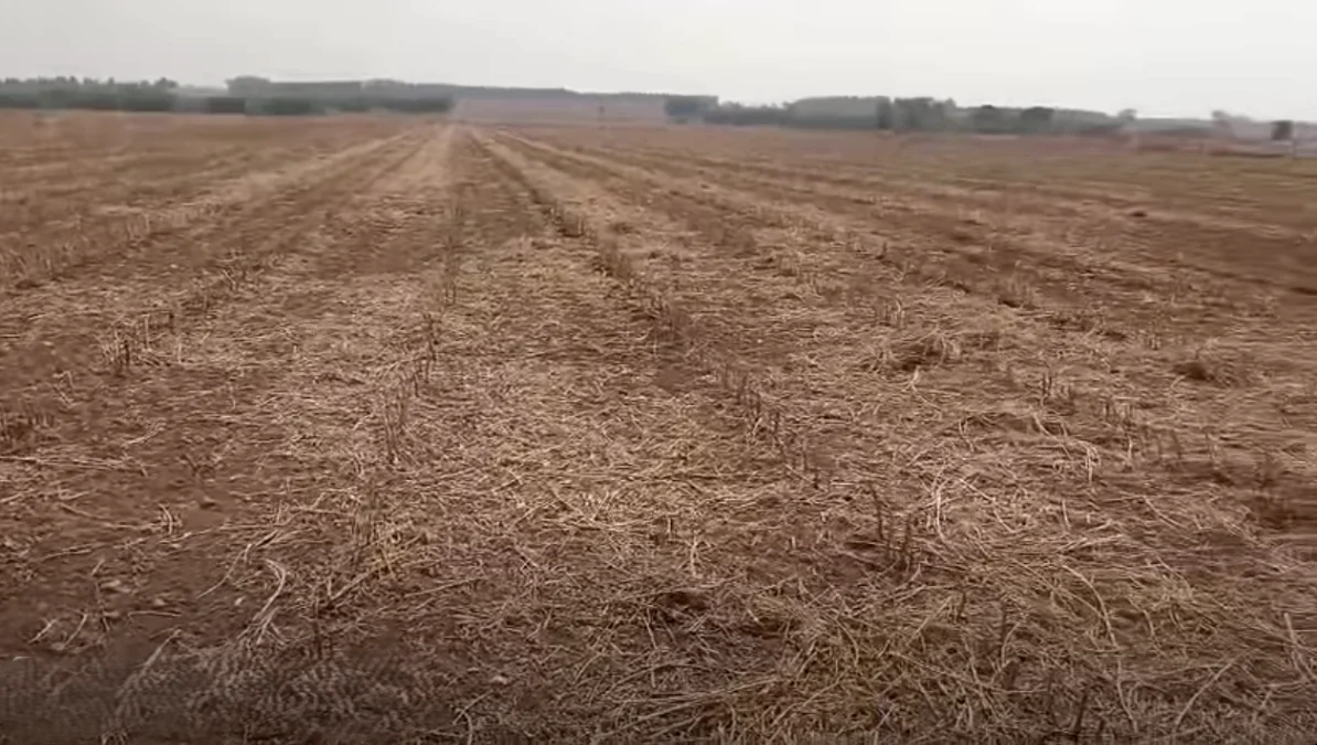 Penukonda, Andhra Pradesh, India preview 2