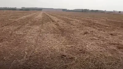 Penukonda, Andhra Pradesh, India preview 2