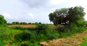 Suratgarh, Rajasthan 335804, India preview 3