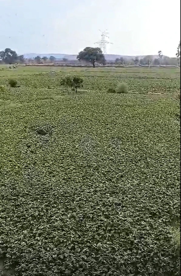 Bilo Kalan, Shivpuri, Madhya Pradesh 473551, India