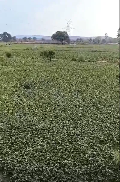 Bilo Kalan, Shivpuri, Madhya Pradesh 473551, India preview 3