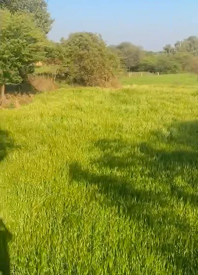 WGR6+5H Reta, Rajasthan, India preview 2