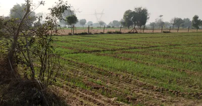 New Chandigarh, Punjab 140901, India preview 3