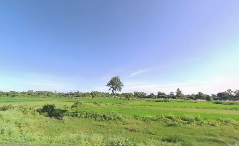 Chamakhandi, Odisha 761045, India preview 3