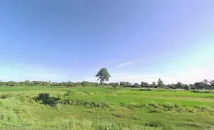 Chamakhandi, Odisha 761045, India preview 3