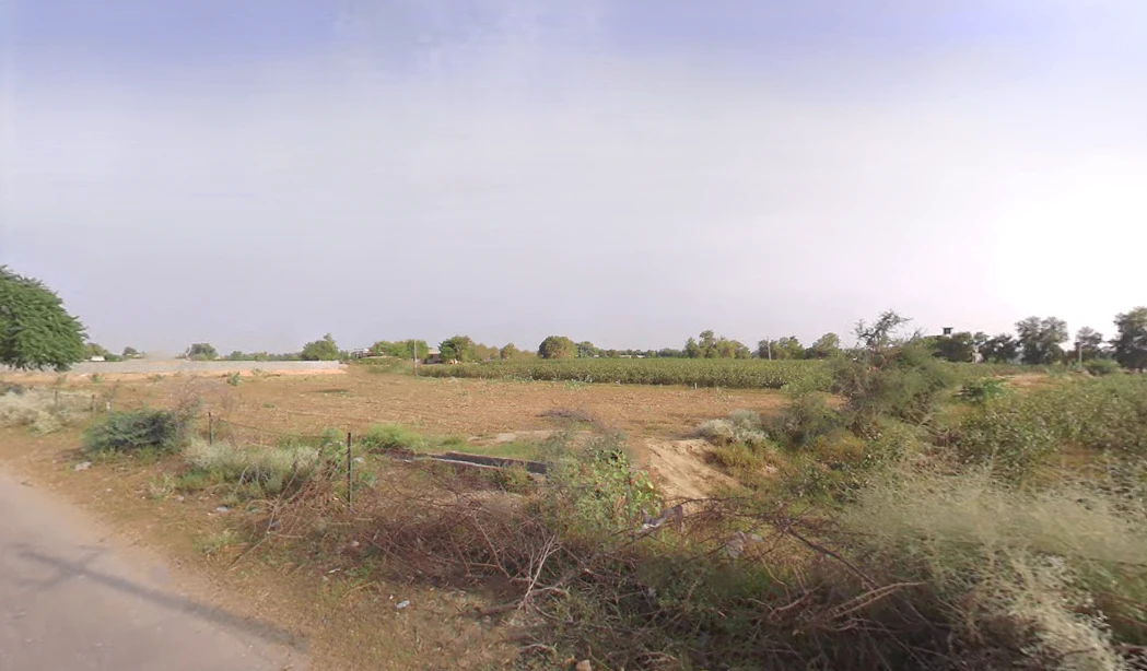 Kaluana, Haryana 125103, India