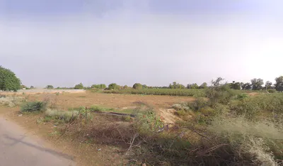 Kaluana, Haryana 125103, India preview 3