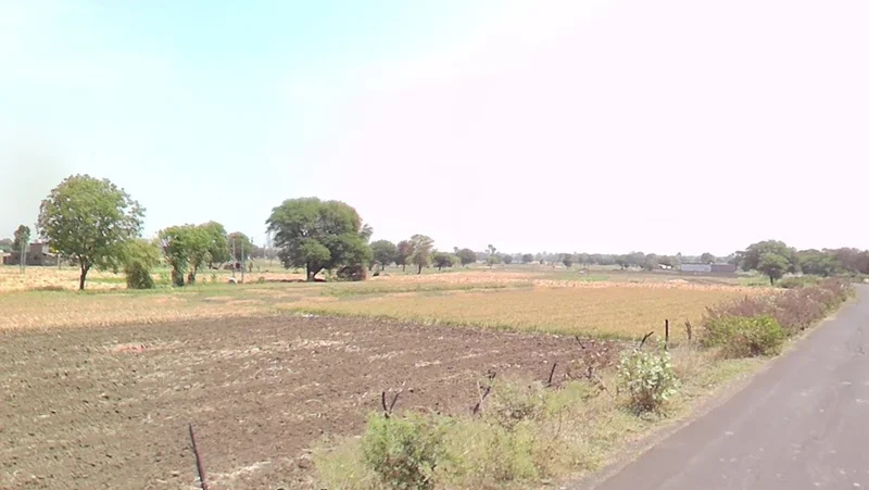 Rampur, Madhya Pradesh 485115, India preview 2