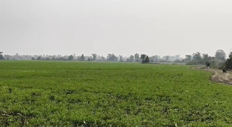 Chandia, Jajpur, Odisha 754292, India