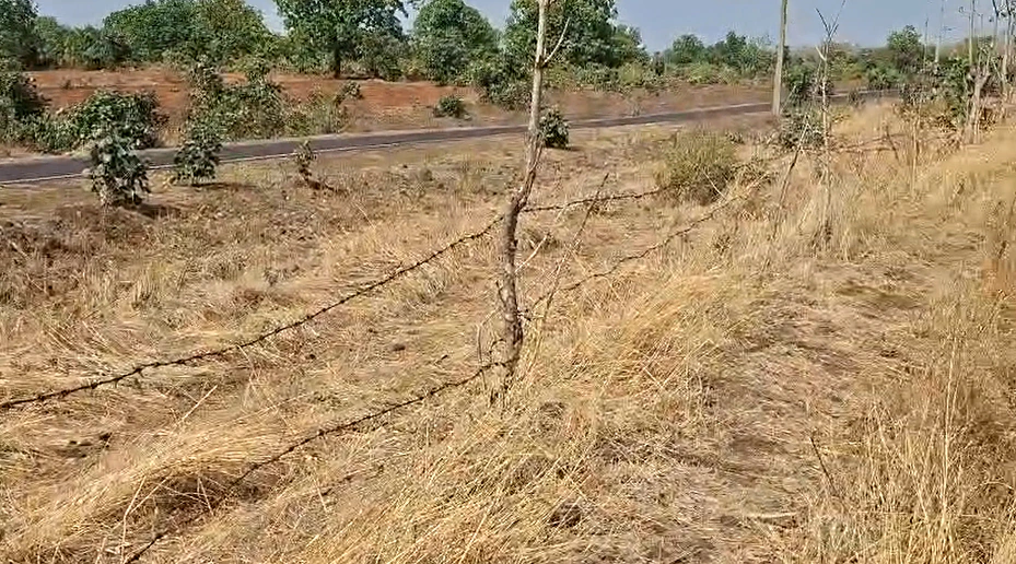 Sahnewal, Punjab, India