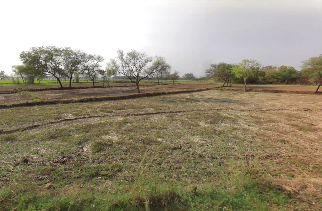 Chandia Pathra, Chhattisgarh 493101, India preview 2