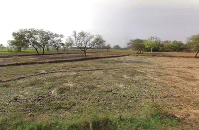 Chandia Pathra, Chhattisgarh 493101, India preview 2