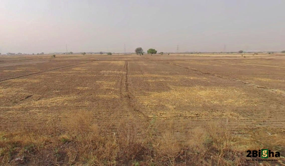 Khatauli, Uttar Pradesh 251201, India