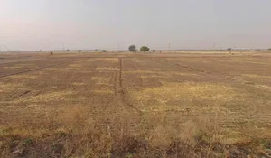 Khatauli, Uttar Pradesh 251201, India preview 3